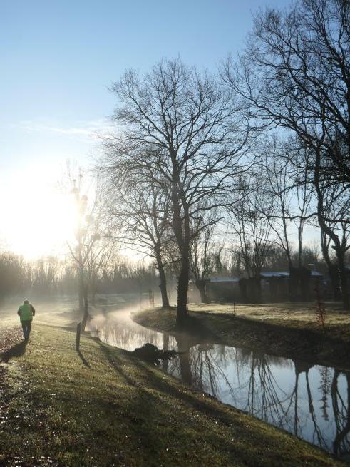 RANDO SOUPES dimanche 8 Février 12km
